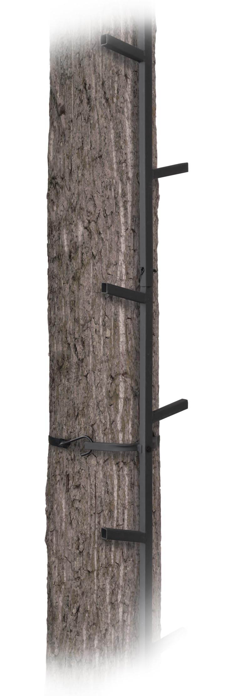 Quick-Stick Climbing System 20ft Reach R988895