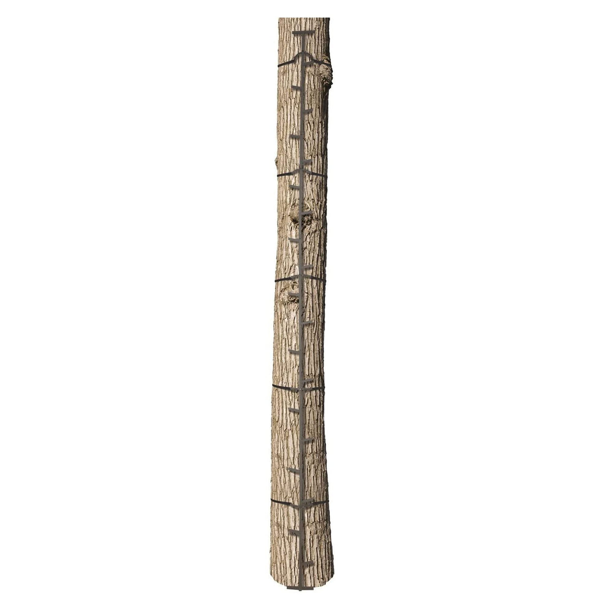 20 Feet Tall Steel Tree Climbing System (2 Pack) T403