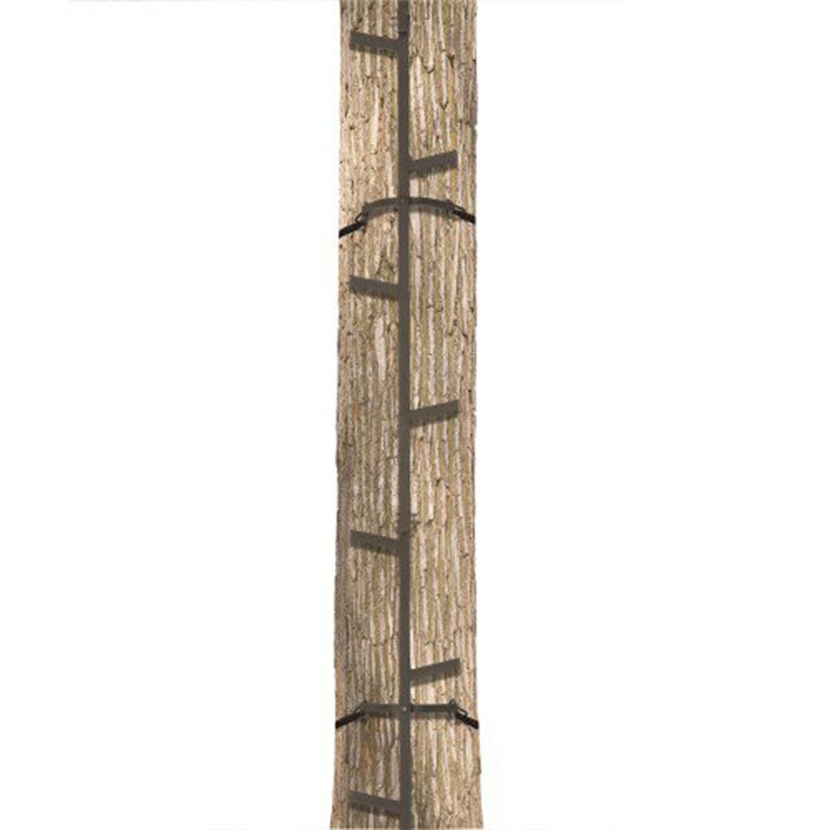 20 Feet Tall Steel Tree Climbing System (2 Pack) T403