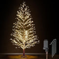 6FT Lighted Birch Tree with 1300 LED Lights G77173