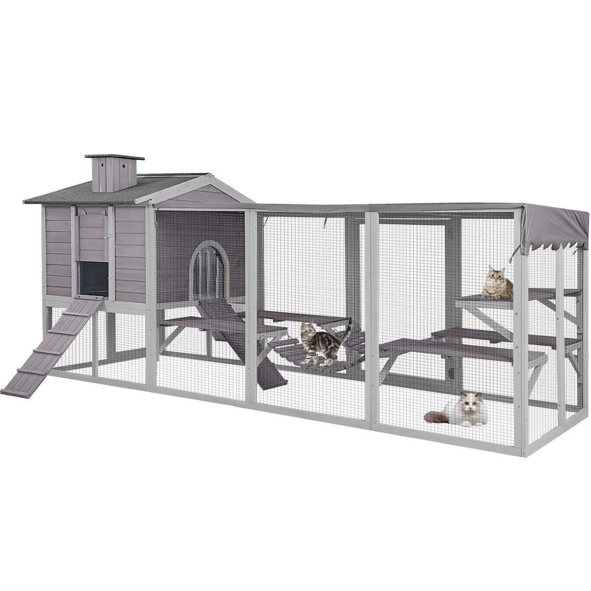 Large Outdoor Cat Enclosure with Platforms O2263