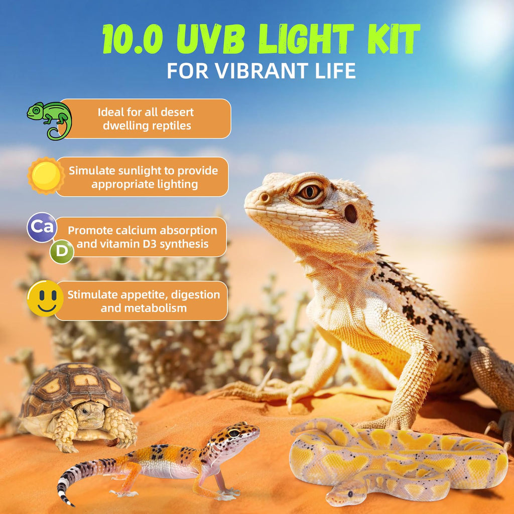 24W 10.0 T5 UVB Reptile Light Fixture Combo Kit 22inch Terrarium Hood K599090