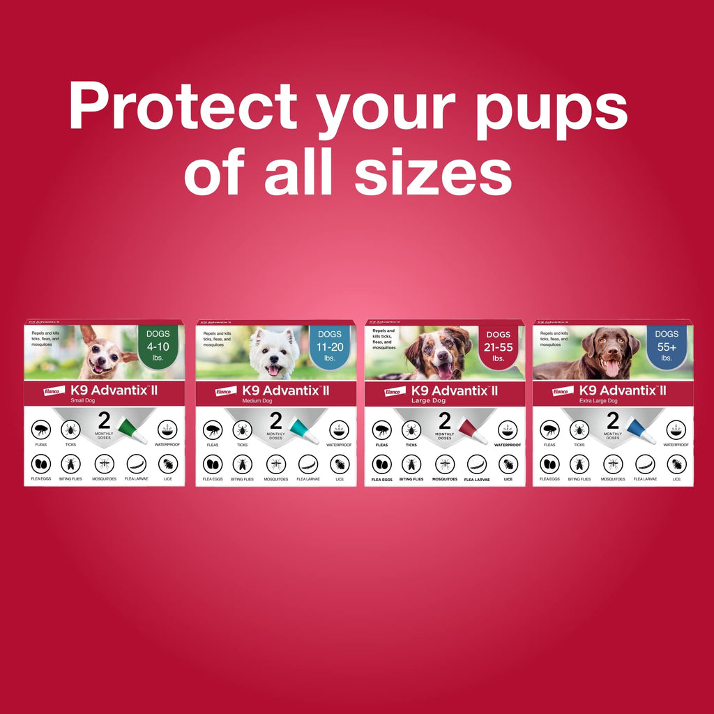 Flea & Tick Topical for Medium Dogs 11–20 lbs., 2ct O256