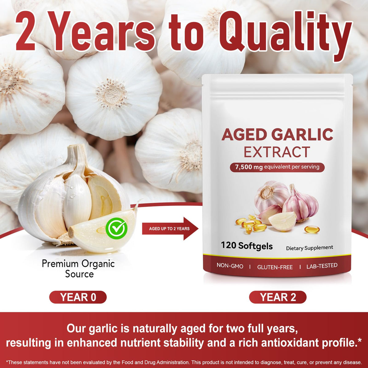 Aged Garlic Extract Capsules with Magnesium, Vitamin B1 & B9, 120 Count M981