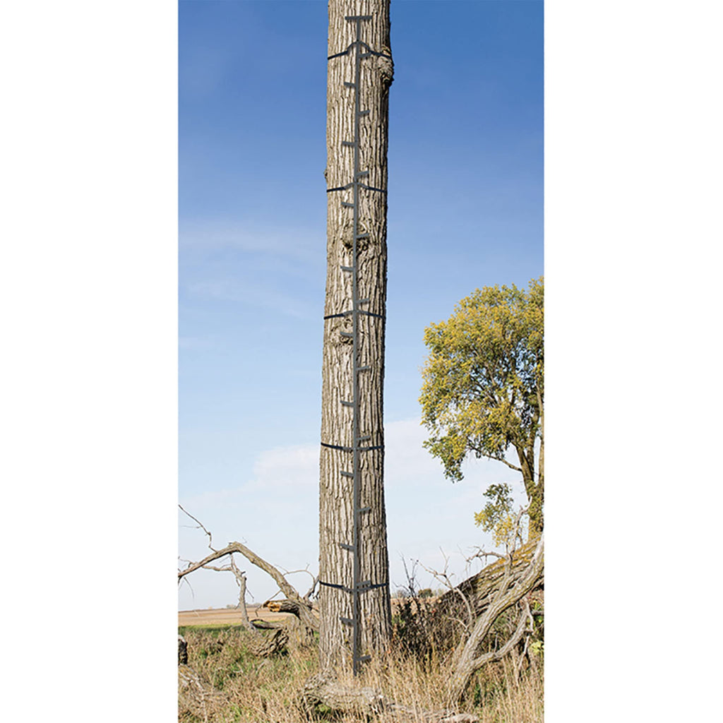 20 Feet Tall Steel Tree Climbing System (2 Pack) T403