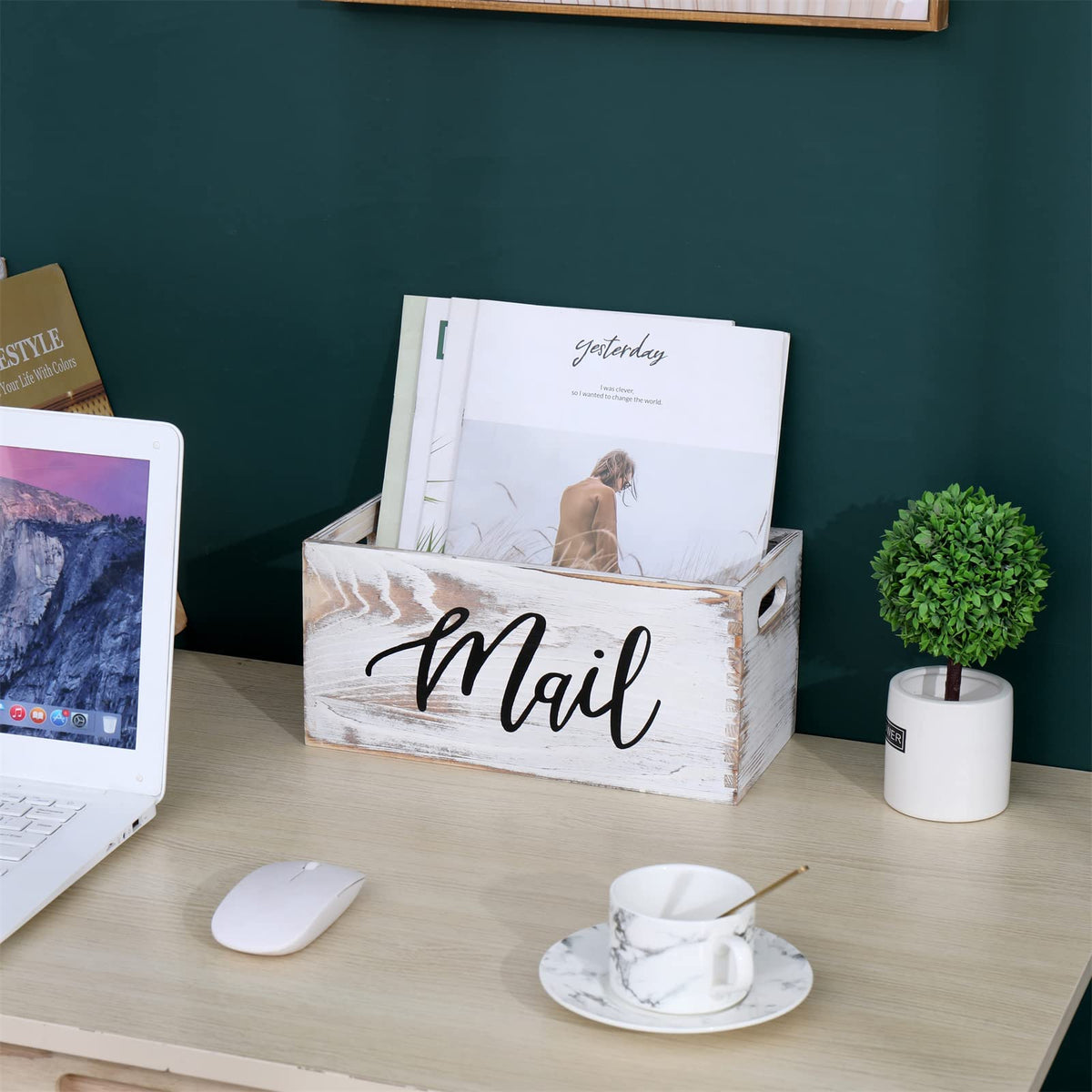 White Mail Organizer J842
