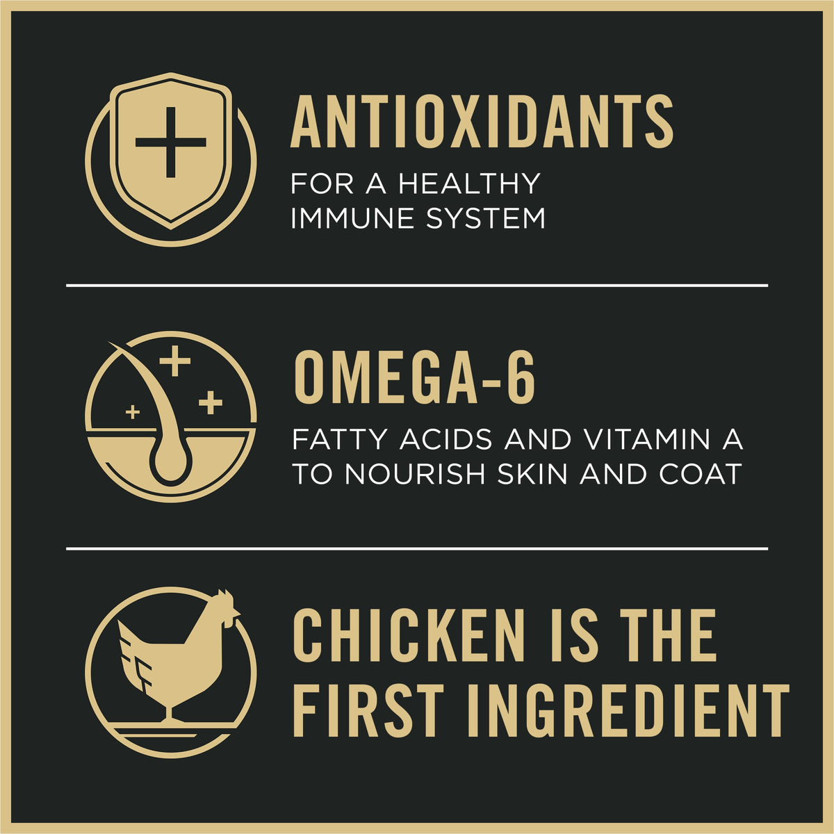 Weight Management Chicken & Rice Dry Dog Food H89122