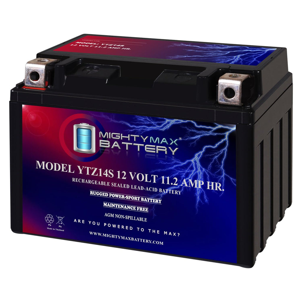 12V 11.2Ah Battery D150109