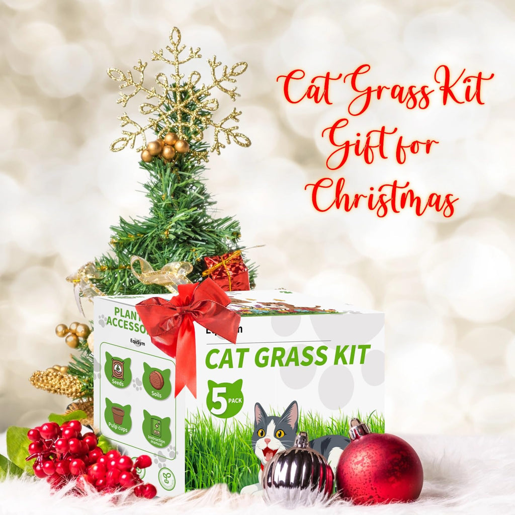 Cat Grass Growing Kit K4996
