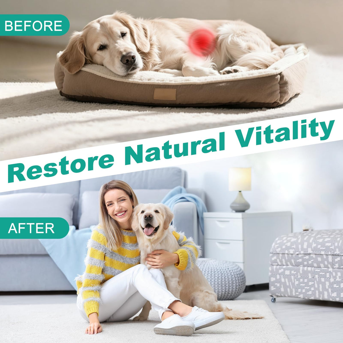 3-Way Dewormer for Dogs & Cats with Praziquantel & Pyrantel Pamoate E197