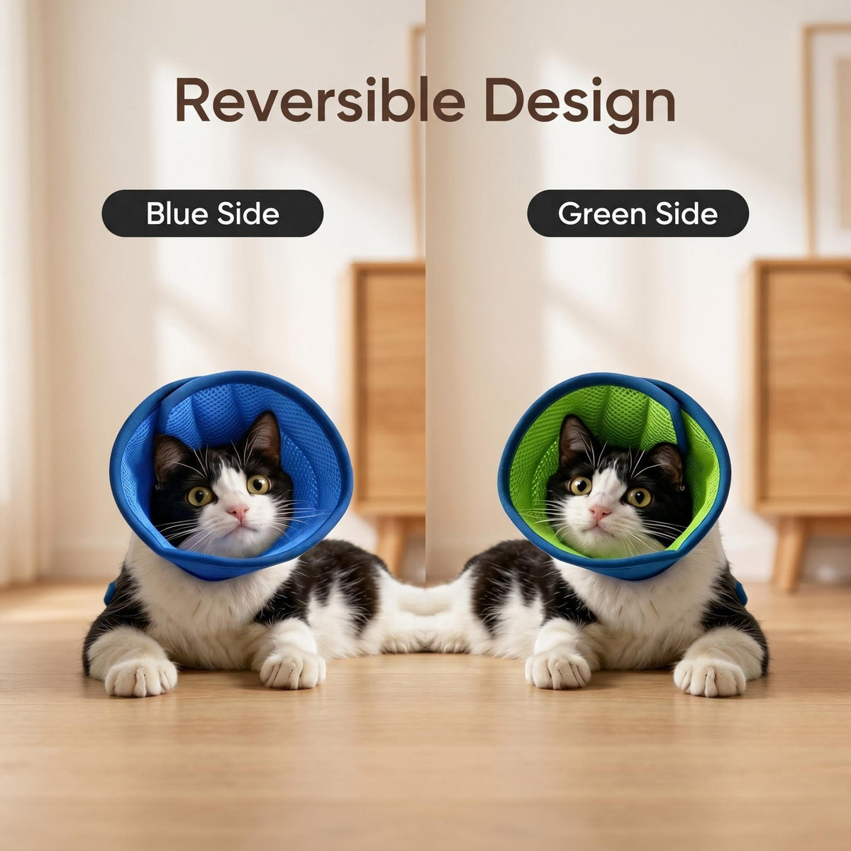 Soft Cat Cone Collar A659