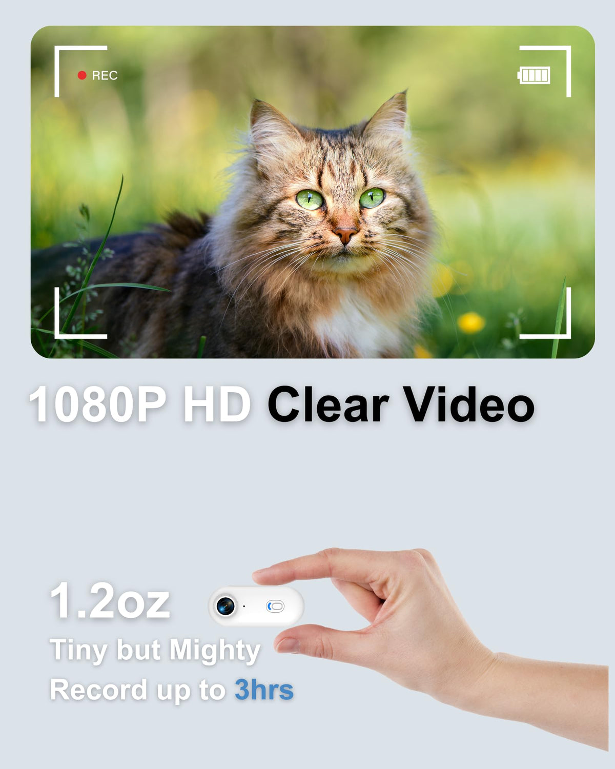 Cat Camera Collar with Location Tracker A15106