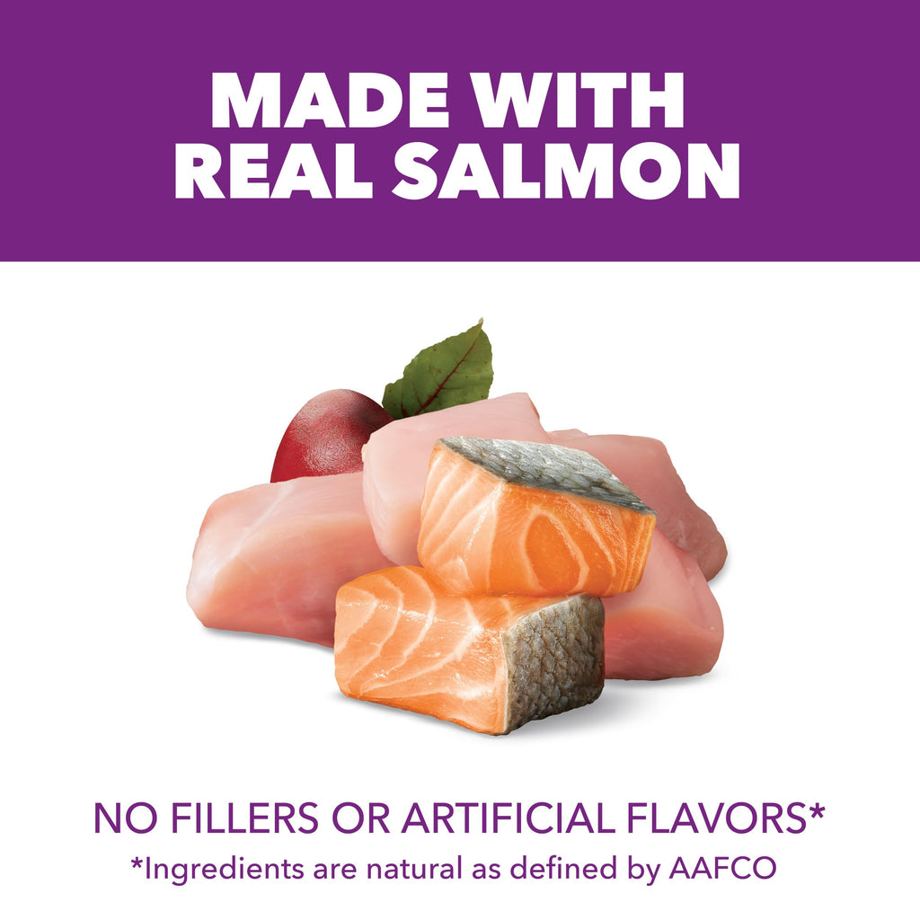 Chicken & Salmon Dry Dog Food 36 lb R246592