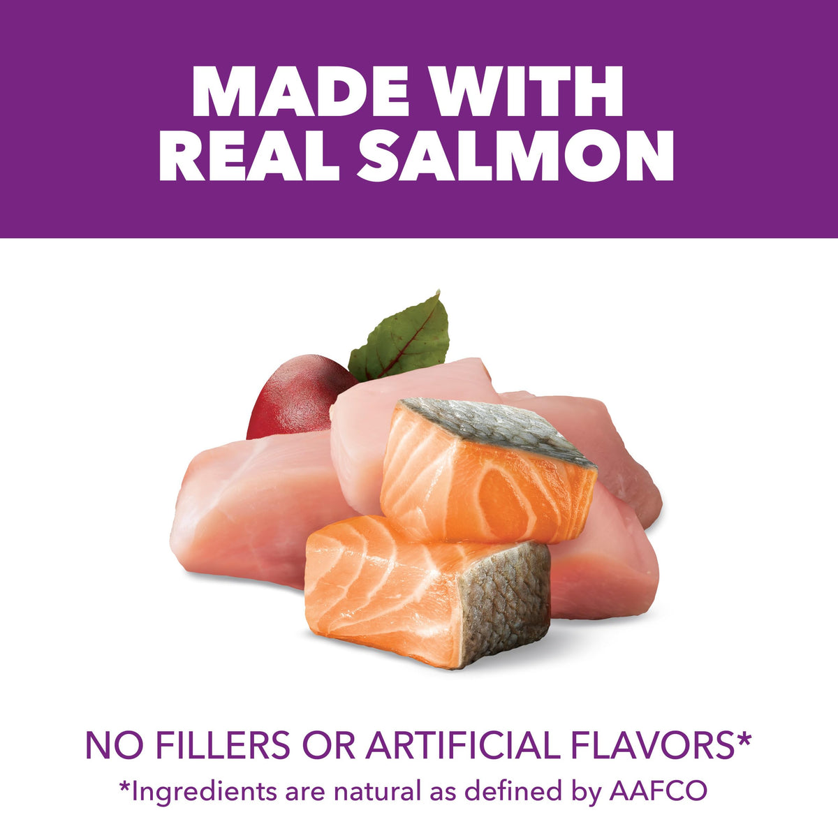 Chicken & Salmon Dry Dog Food 36 lb R246592