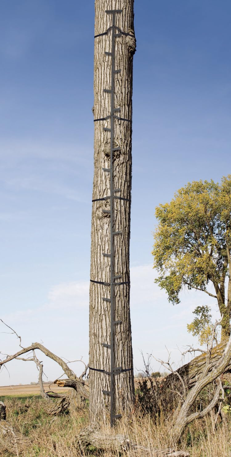 Quick-Stick Climbing System 20ft Reach R988895