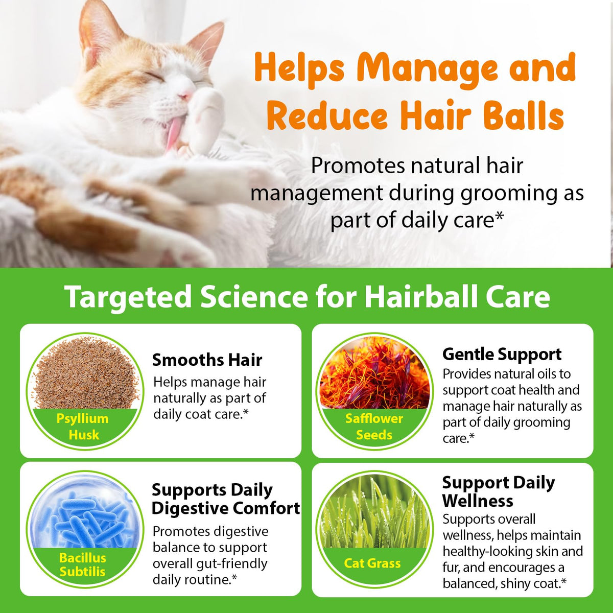 Natural Cat Hairball Treatment with Vitamins V6781