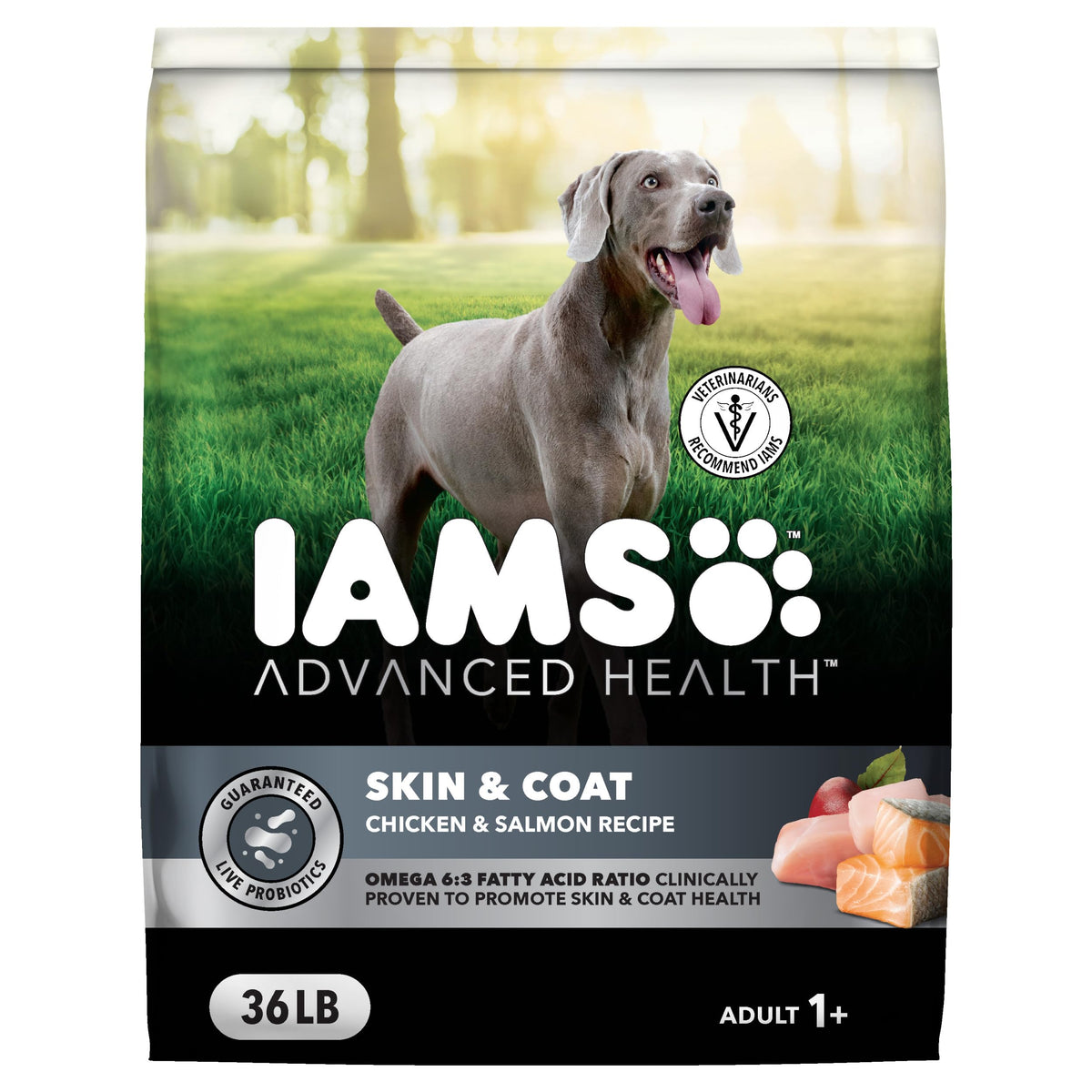 Chicken & Salmon Dry Dog Food 36 lb R246592