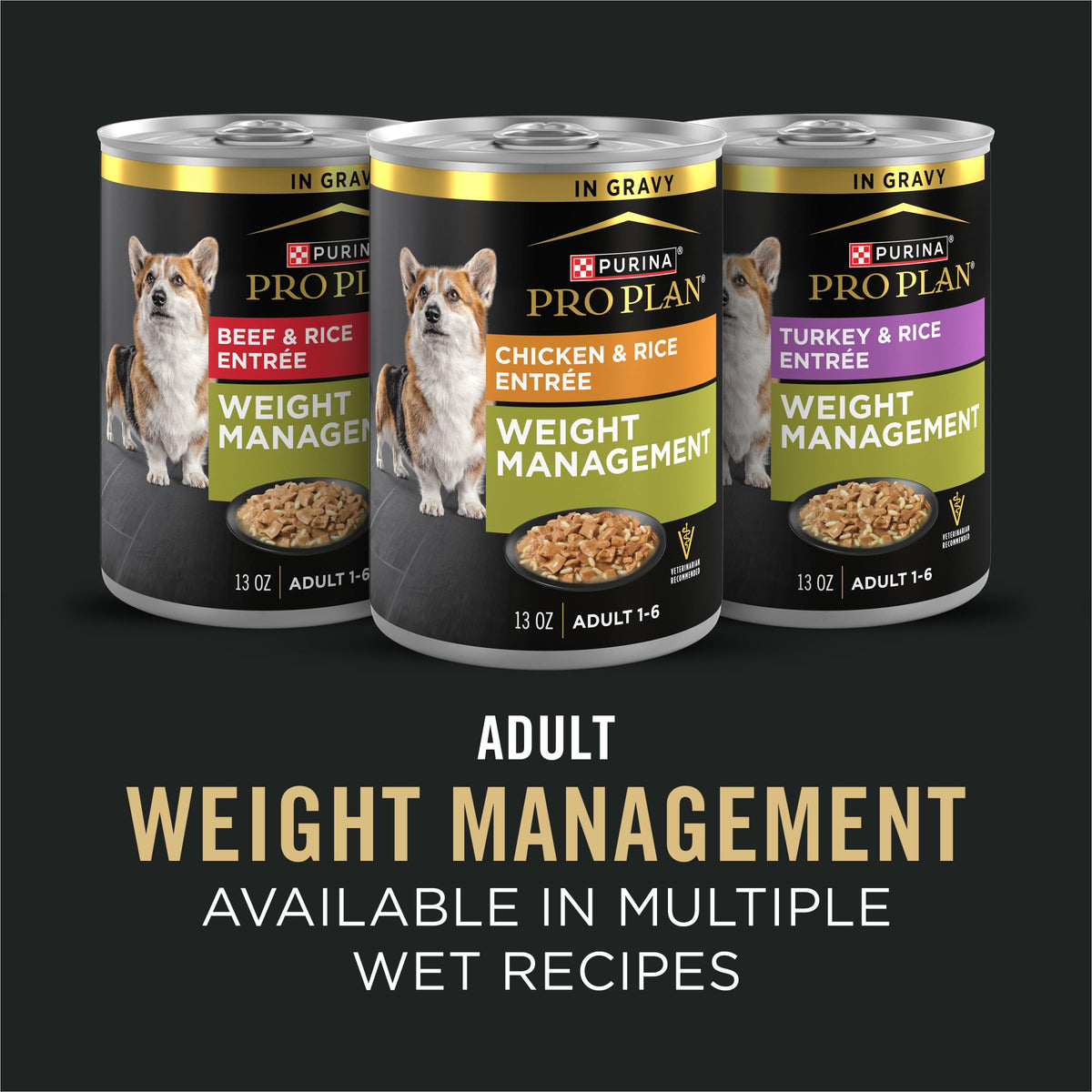 Weight Management Chicken & Rice Dry Dog Food H89122