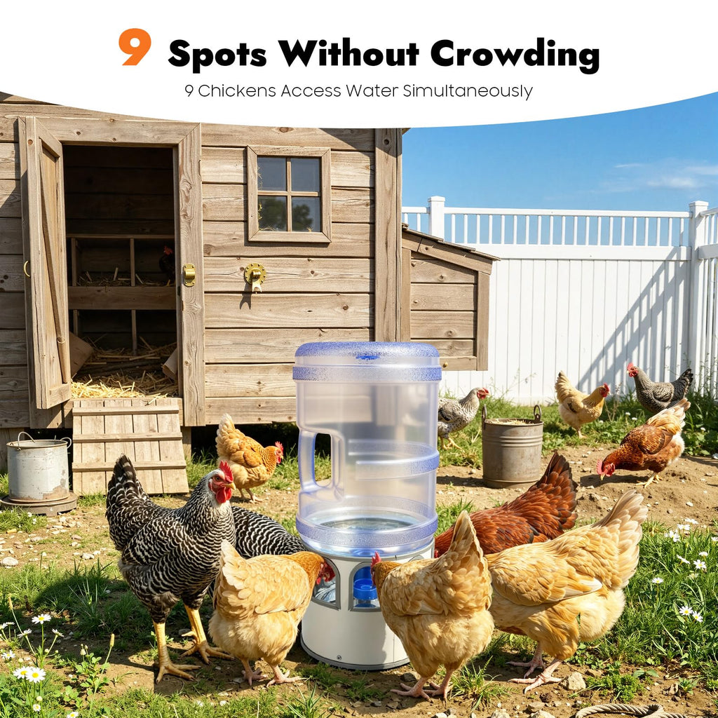 5 Gal Heated Chicken Waterer 80W Adjustable Temperature R52869