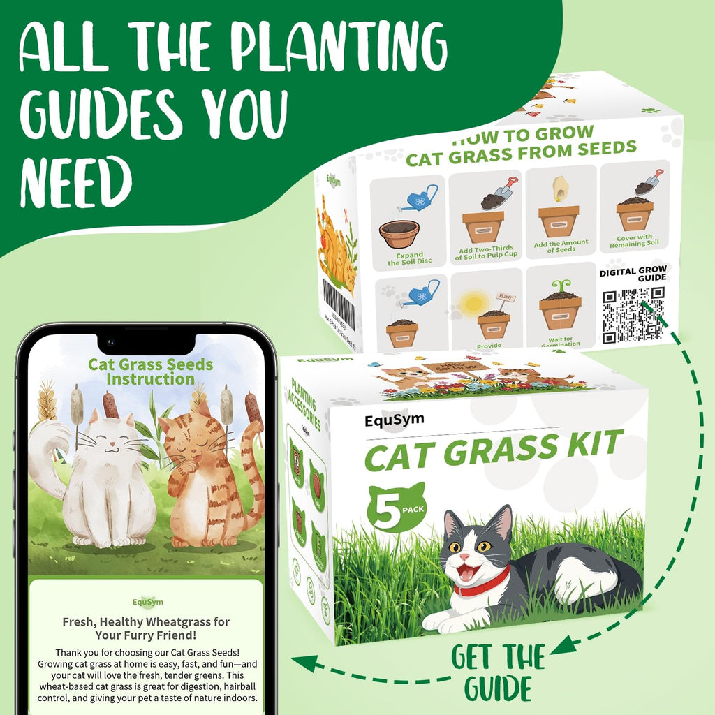 Cat Grass Growing Kit K4996
