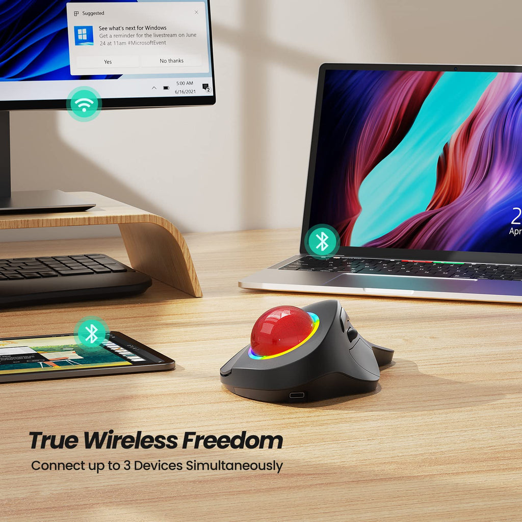 Wireless Ergonomic RGB Trackball Mouse Y1422