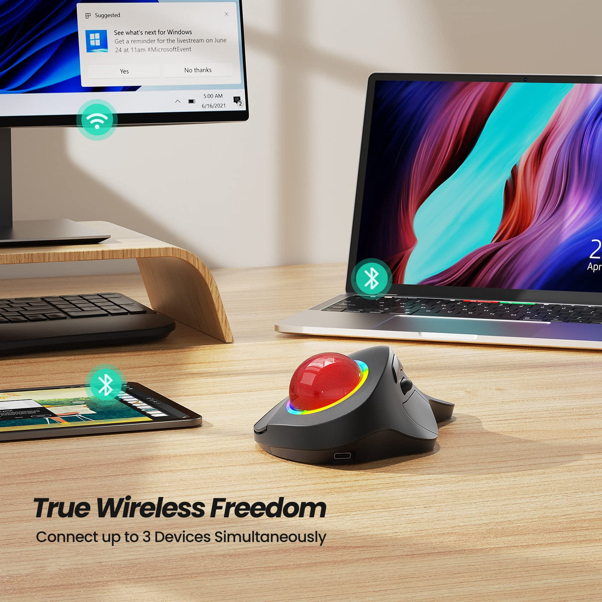 Wireless Ergonomic RGB Trackball Mouse Y1422