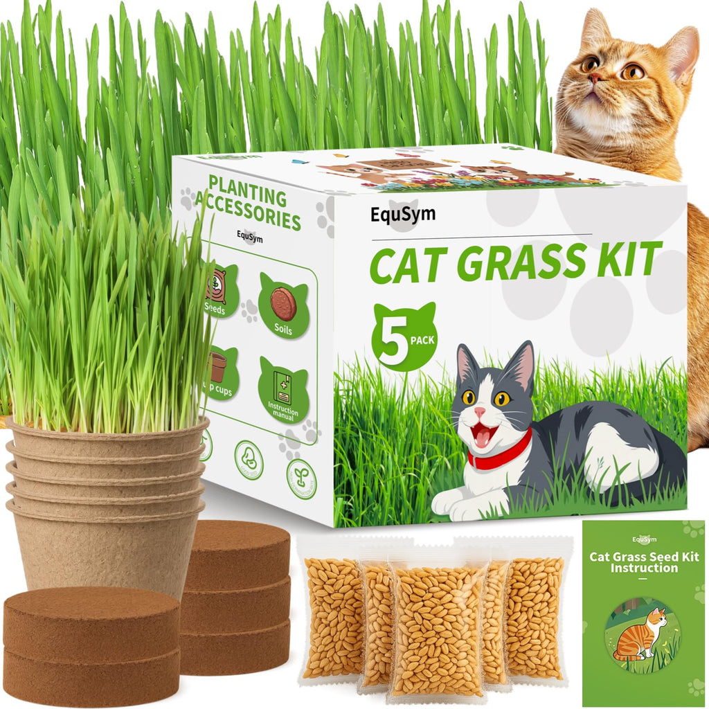Cat Grass Growing Kit K4996