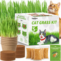 Cat Grass Growing Kit K4996