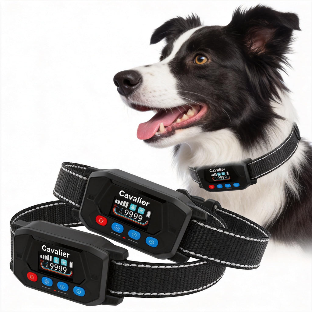 GPS Wireless Dog Fence System with 2 Collar I533