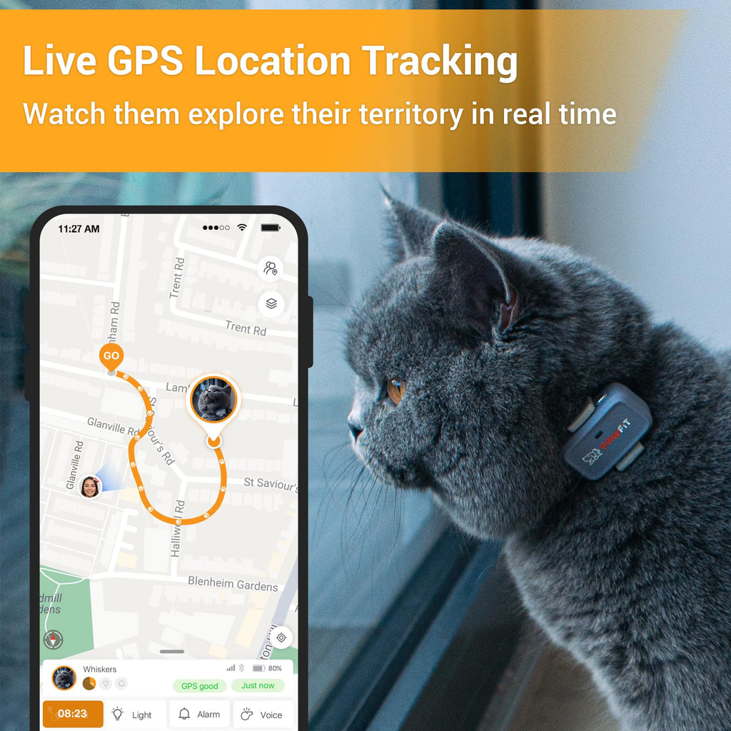 4G GPS Cat Tracker Ultra-Light P4100