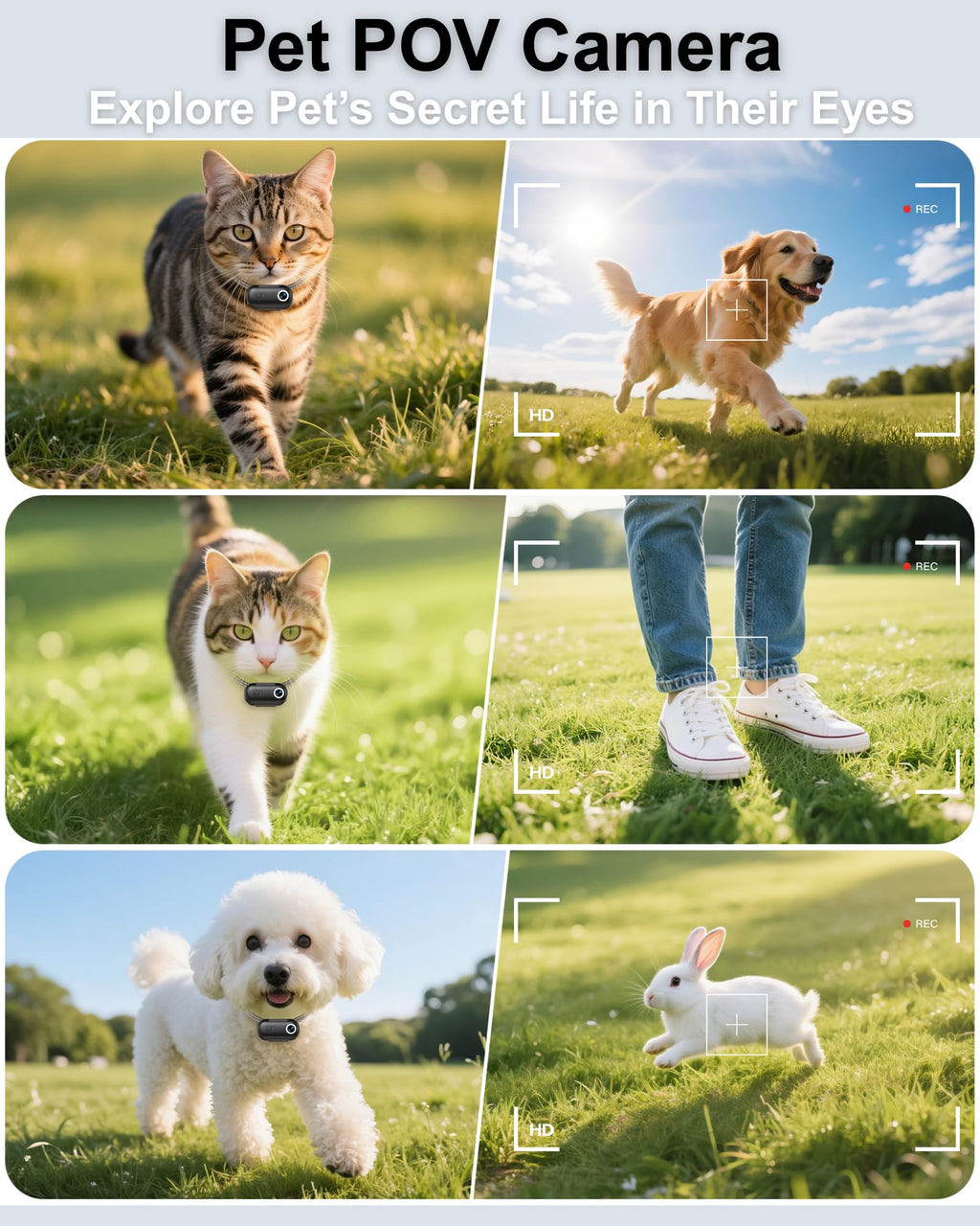 Cat Camera Collar with Location Tracker A15106