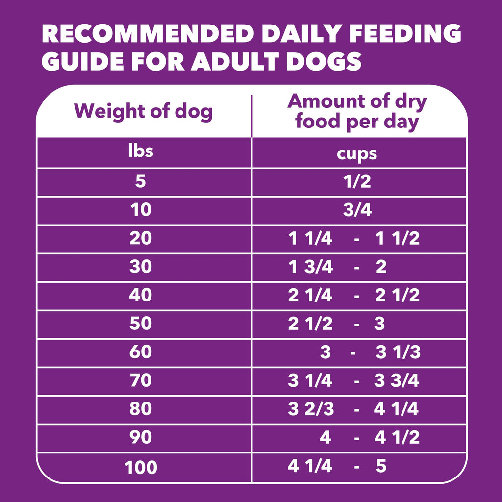 Chicken & Salmon Dry Dog Food 36 lb R246592