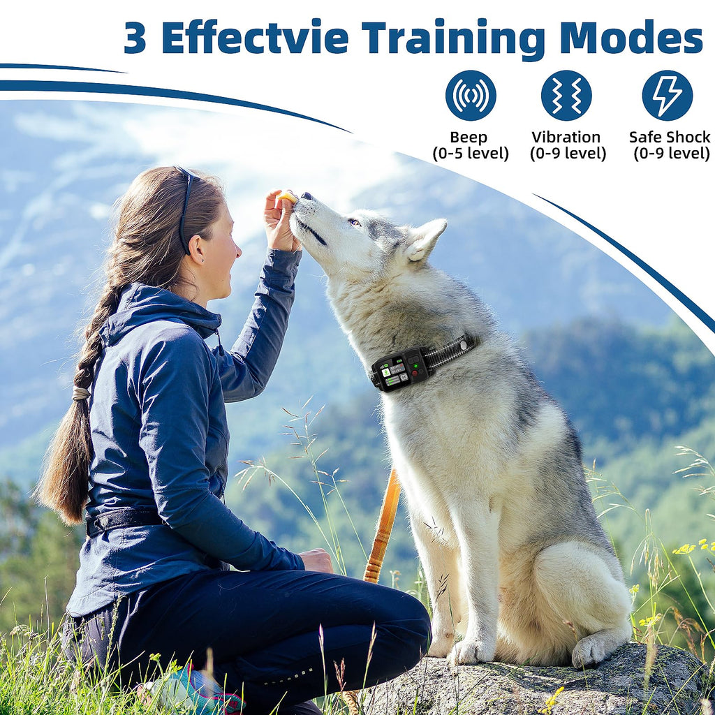 Wireless Dog Fence System, IP68 Waterproof L638