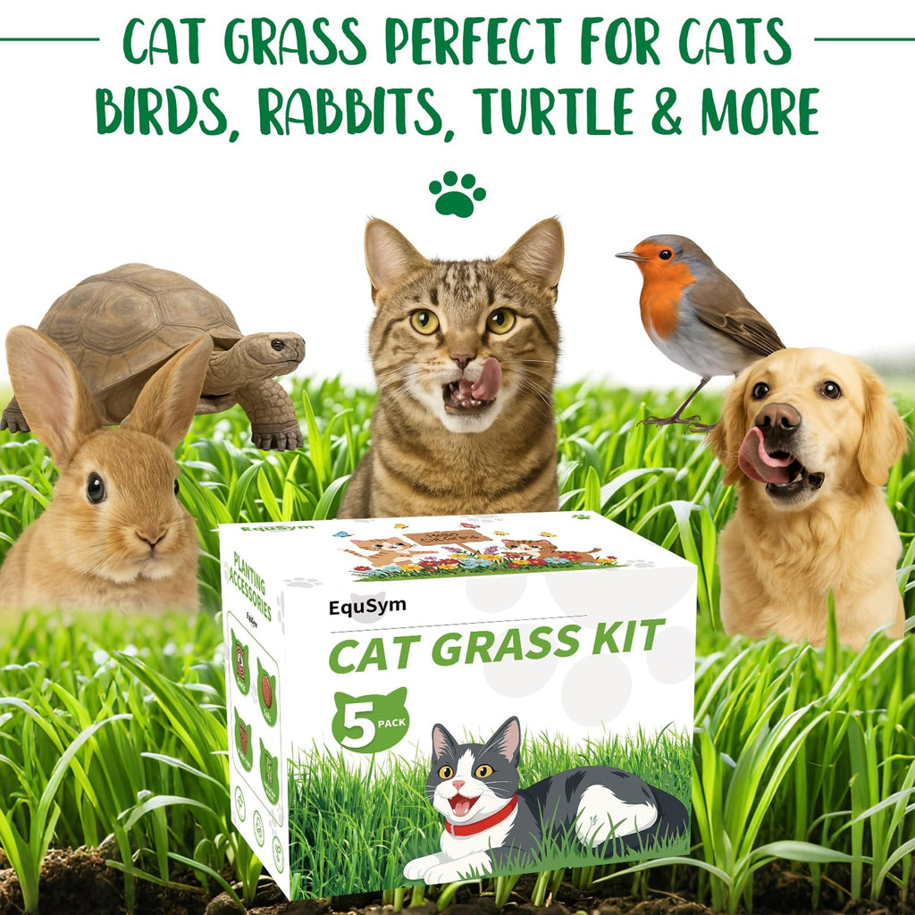 Cat Grass Growing Kit K4996