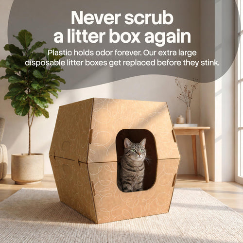 10 Pack Extra Large High Sided Leak Resistant Cardboard Cat Litter Boxes D517011