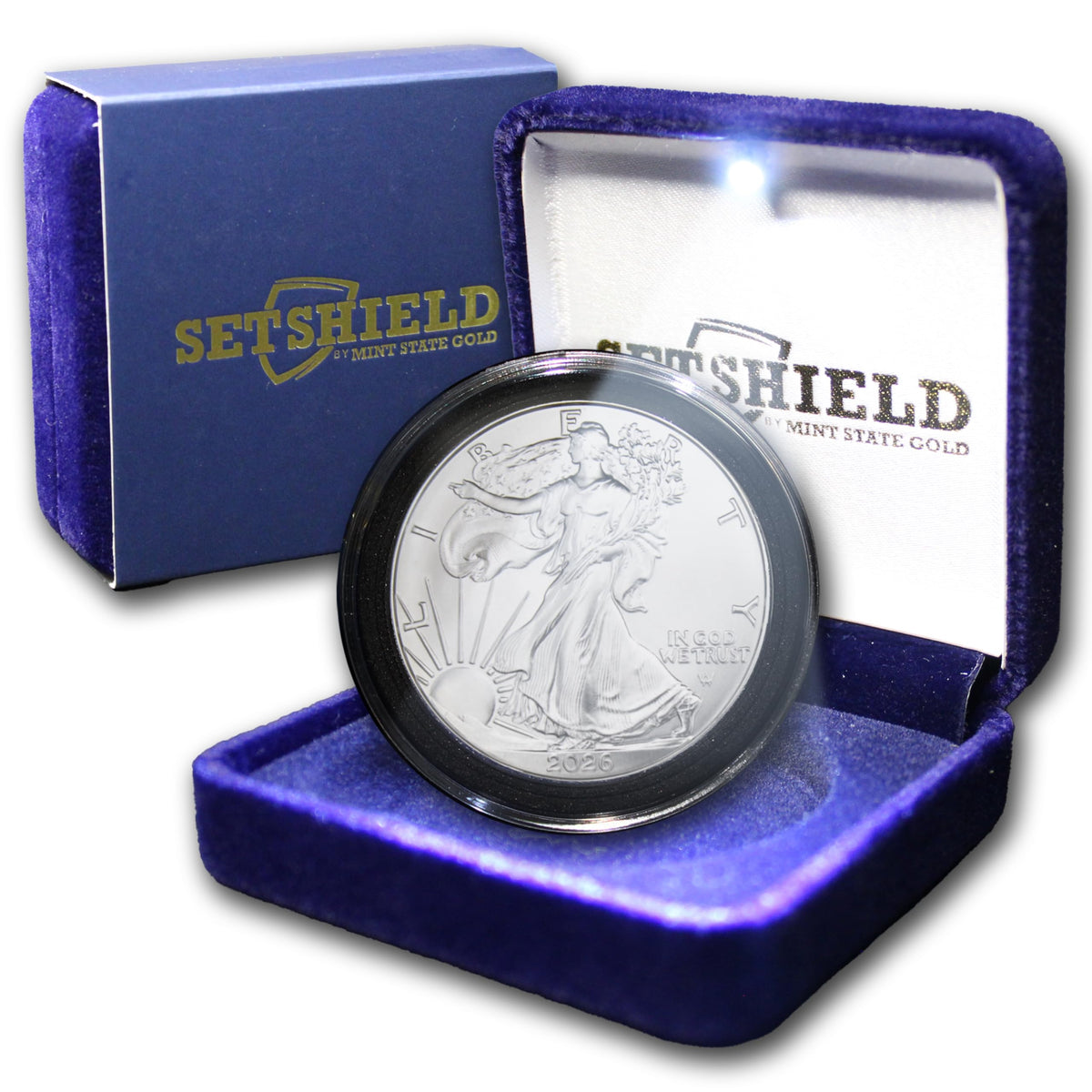 1 oz American Silver Eagle Coin with LED Presentation Box Q655486