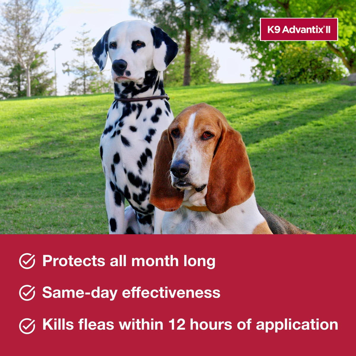Flea & Tick Topical for Medium Dogs 11–20 lbs., 2ct O256