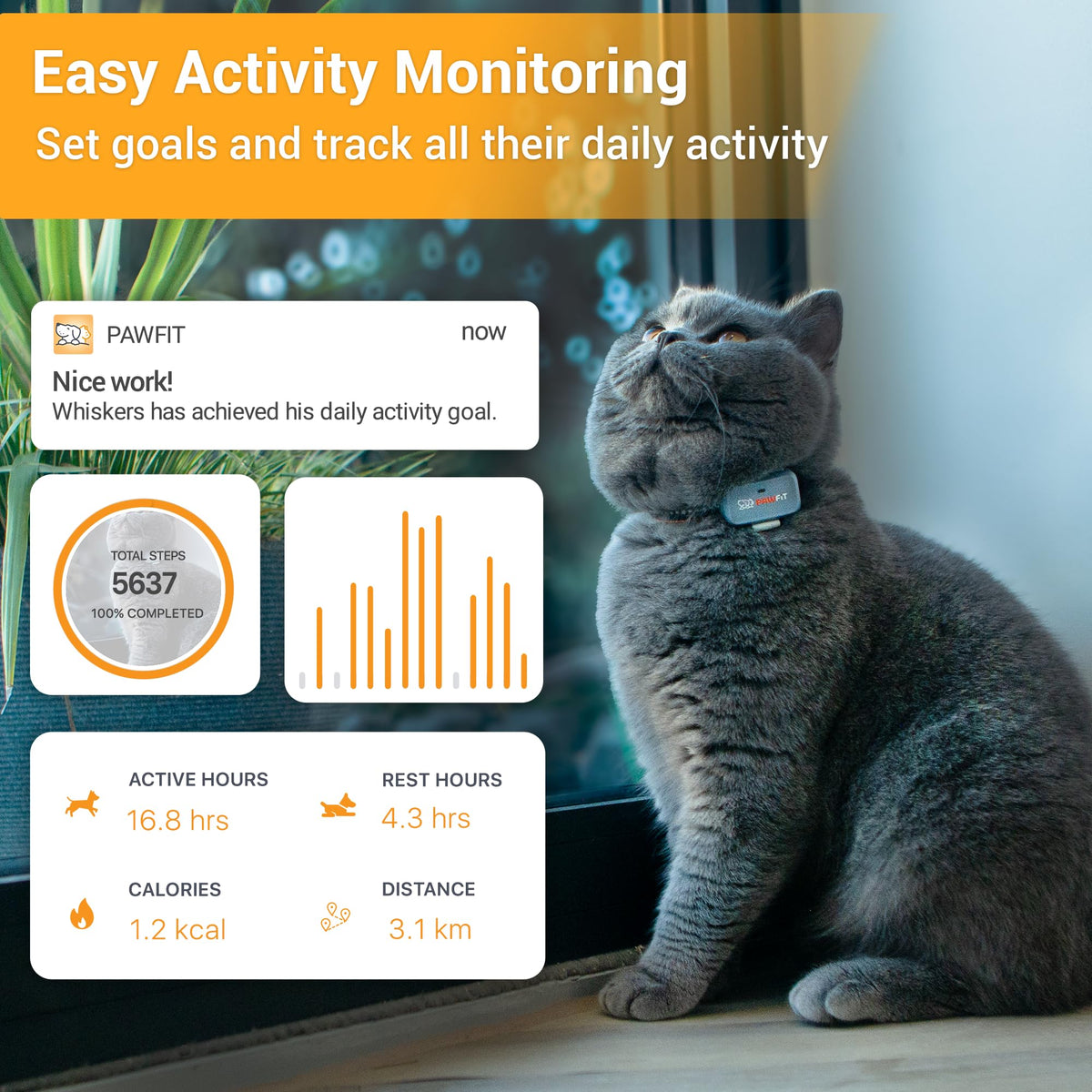 4G GPS Cat Tracker Ultra-Light P4100