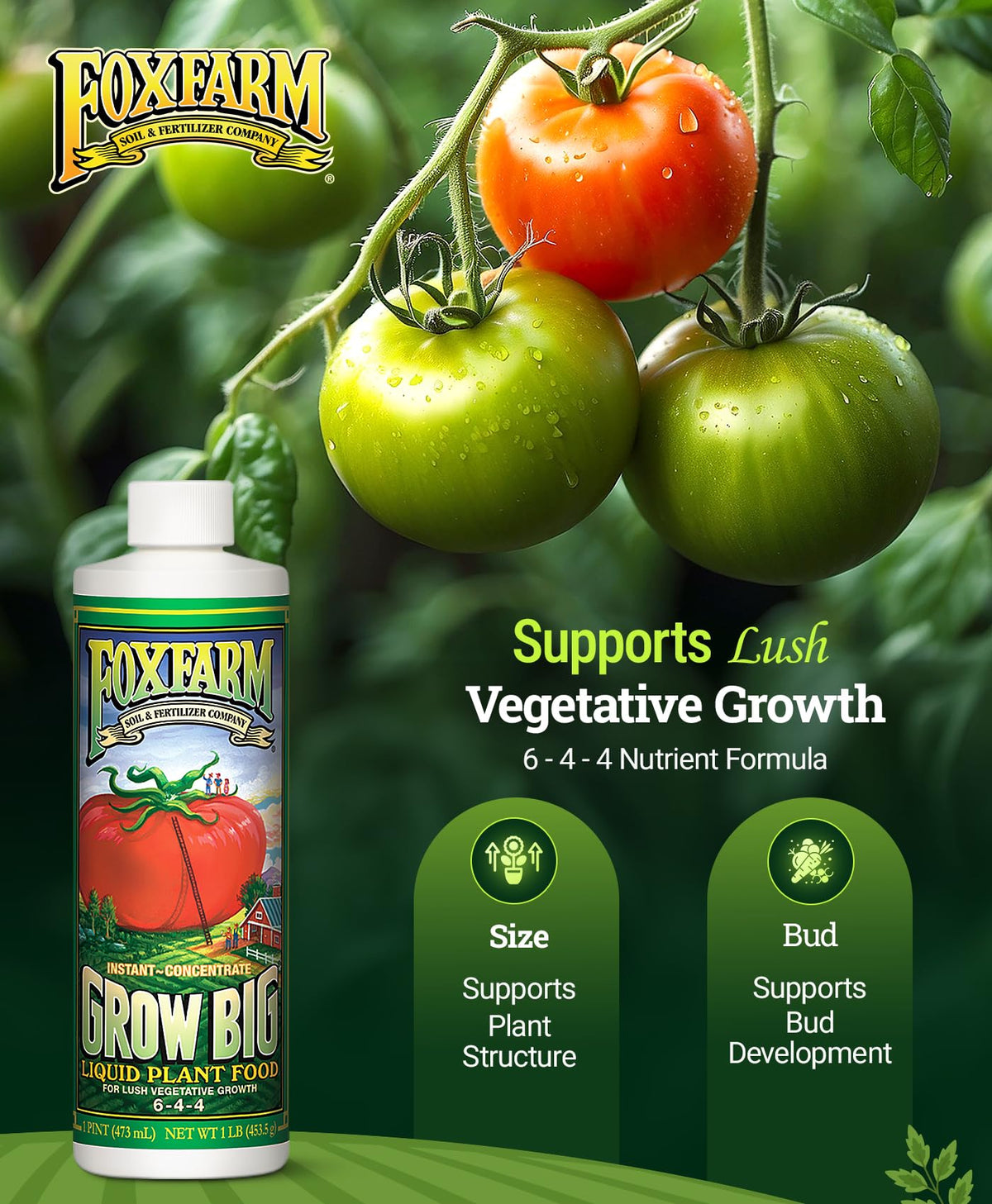 Liquid Plant Food 6-4-4 Fertilizer Concentrate R4831