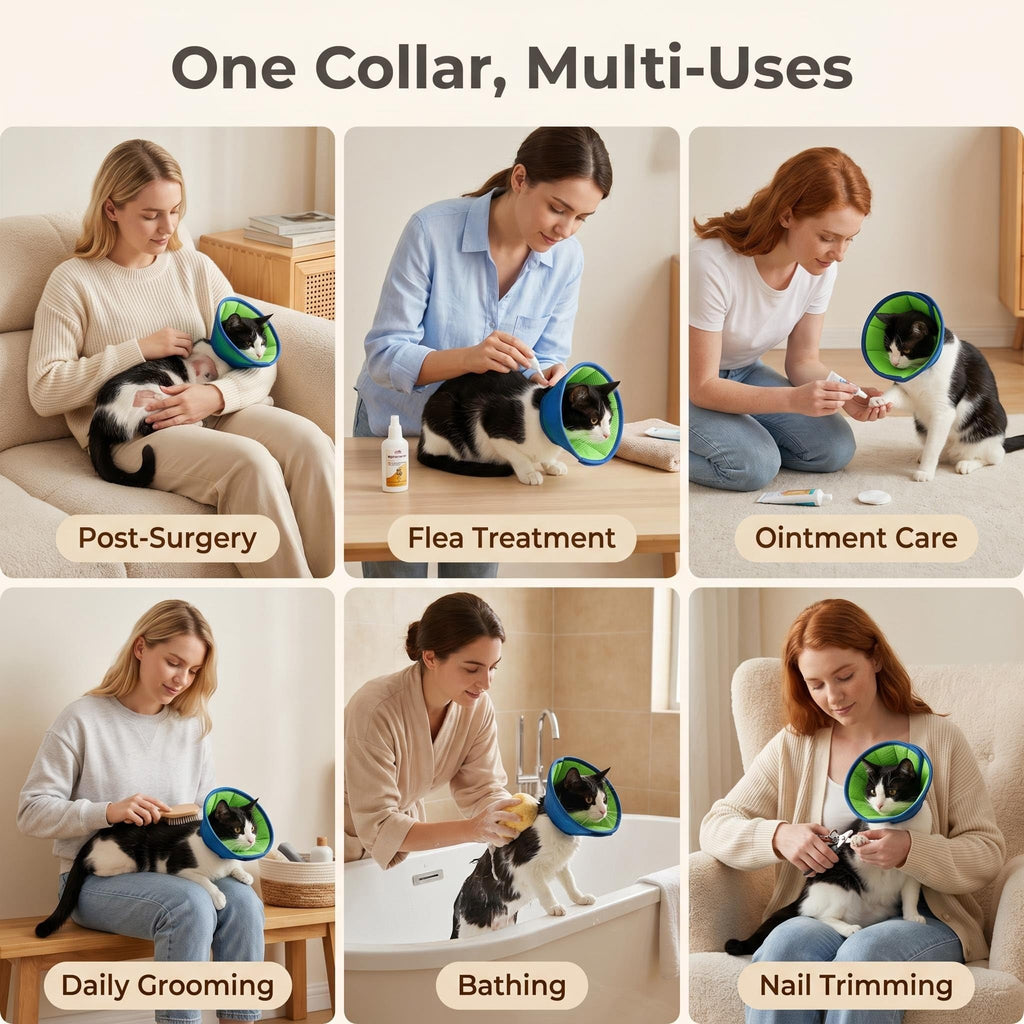 Soft Cat Cone Collar A659