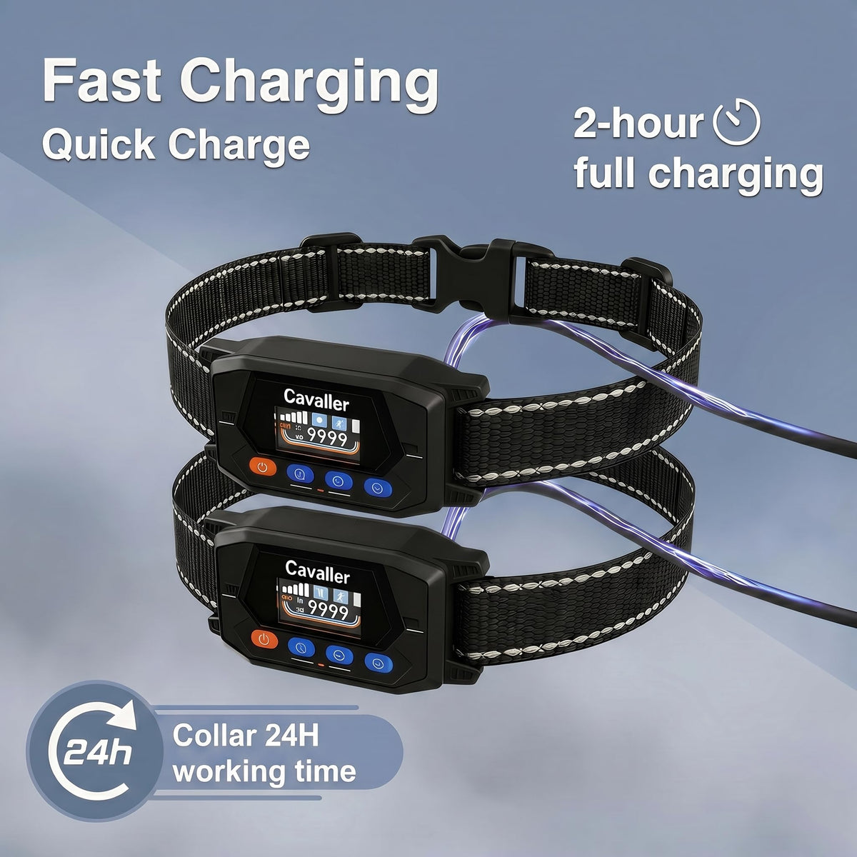 GPS Wireless Dog Fence System with 2 Collar I533