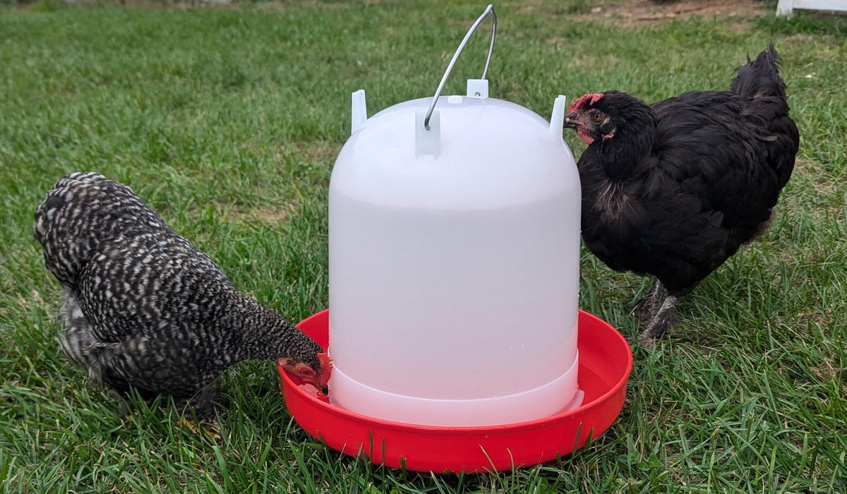 8L Chicken Waterer with Adjustable Legs X60109