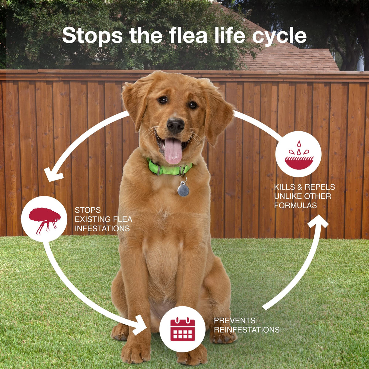 Flea & Tick Topical for Medium Dogs 11–20 lbs., 2ct O256