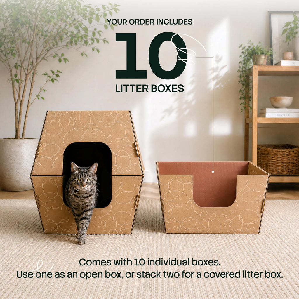 10 Pack Extra Large High Sided Leak Resistant Cardboard Cat Litter Boxes D517011